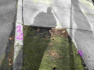 NYCDDC HWPR20KMC WO-002A – Park Avenue Pedestrian Safety Improvement at the Crossover, Borough of Manhattan & Bronx